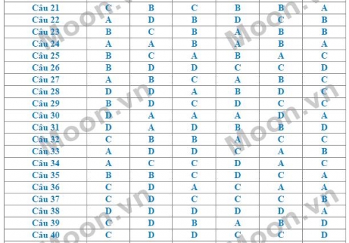 Xã hội - Đáp án đề thi môn Vật lý THPT Quốc gia năm 2016 đầy đủ 6 mã đề (Hình 2).