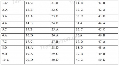 Xã hội - Đáp án đề thi môn Vật lý THPT Quốc gia năm 2016 đầy đủ 6 mã đề (Hình 4).