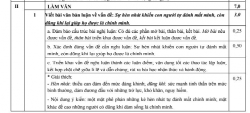 Xã hội - Đáp án đề thi môn Văn THPT Quốc gia 2016 của Bộ Giáo dục (Hình 2).