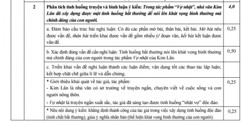 Xã hội - Đáp án đề thi môn Văn THPT Quốc gia 2016 của Bộ Giáo dục (Hình 4).