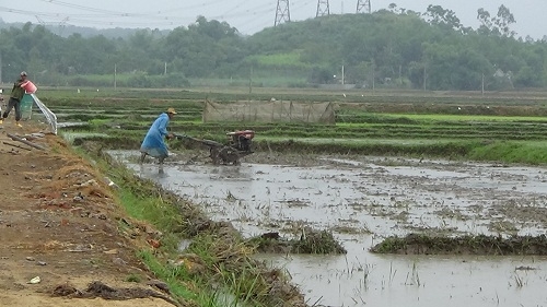 Kinh doanh - Nghệ An: Thị xã Thái Hòa nỗ lực trong đền bù giải phóng mặt bằng