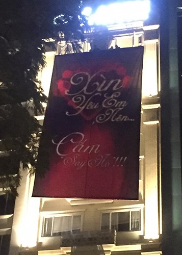 Giải trí - Nhìn lại 'hành trình' Trấn Thành cầu hôn Hari Won (Hình 2).