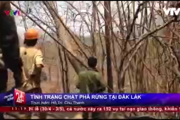 Pháp luật - Dân mạng nói gì trước tin VTV 'bị tố' dàn dựng cảnh phá rừng làm PS? (Hình 2).