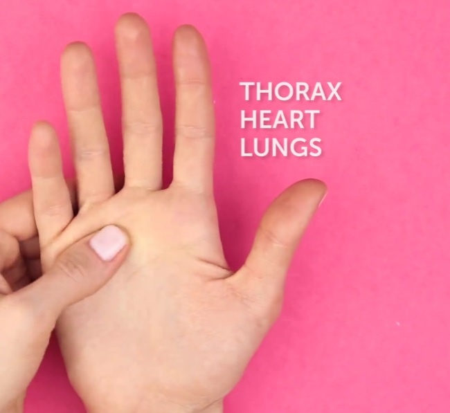 Đời sống - Bấm 5 huyệt trong lòng bàn tay để kiểm soát các cơn đau trên cơ thể (Hình 4).