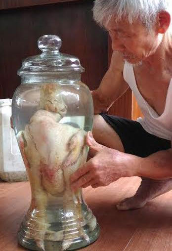 Xã hội - Chúa gà Đông Tảo 65 triệu được ngâm rượu vì chủ quá yêu mến (Hình 2).