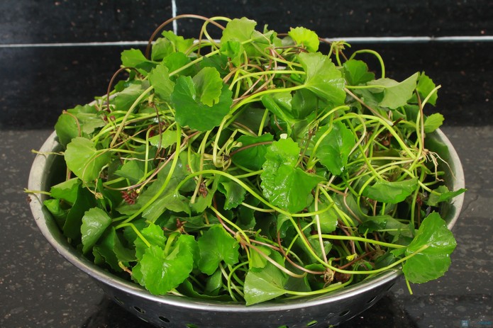 Đời sống - Loại rau dân dã giải nhiệt ngày nắng nóng cực hữu hiệu