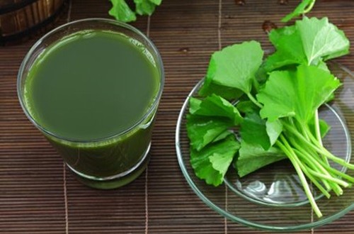 Đời sống - Loại rau dân dã giải nhiệt ngày nắng nóng cực hữu hiệu (Hình 2).
