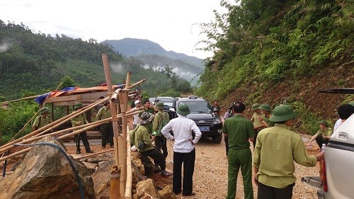 Pháp luật - Công an vào cuộc vụ phá rừng ở Nghệ An