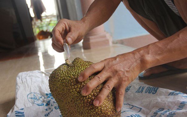Xã hội - Mẹo hay chọn mua mít sạch, giá rẻ ở chợ