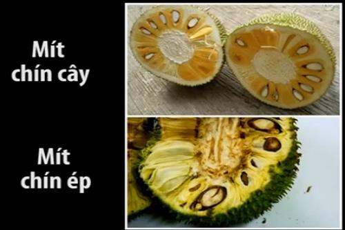 Xã hội - Mẹo hay chọn mua mít sạch, giá rẻ ở chợ (Hình 2).