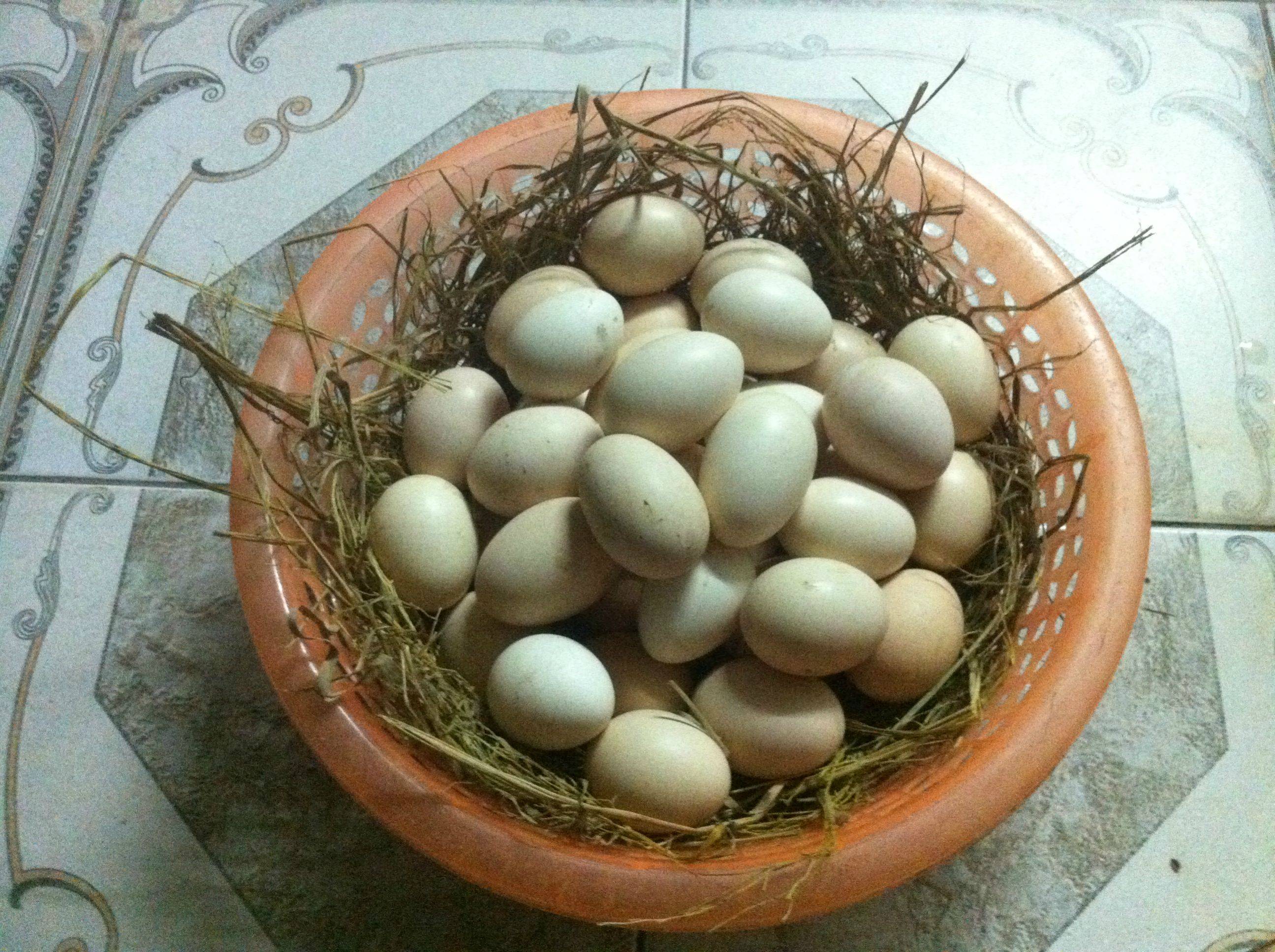 Xã hội - 11 thực phẩm quen thuộc dù hết hạn vẫn có thể sử dụng được