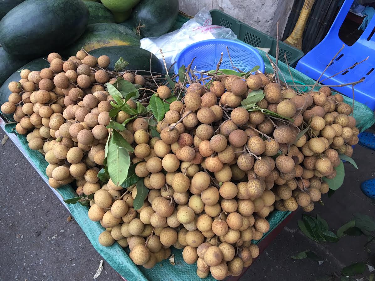 Pháp luật - Phía sau loại nhãn lạ vỏ vàng bóng được cho là xông lưu huỳnh?