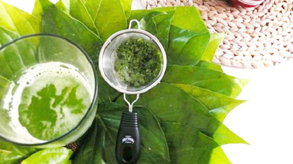 Đời sống - 5 bài thuốc trị sỏi thận chỉ 7-10 ngày là hạt sỏi tiêu hết