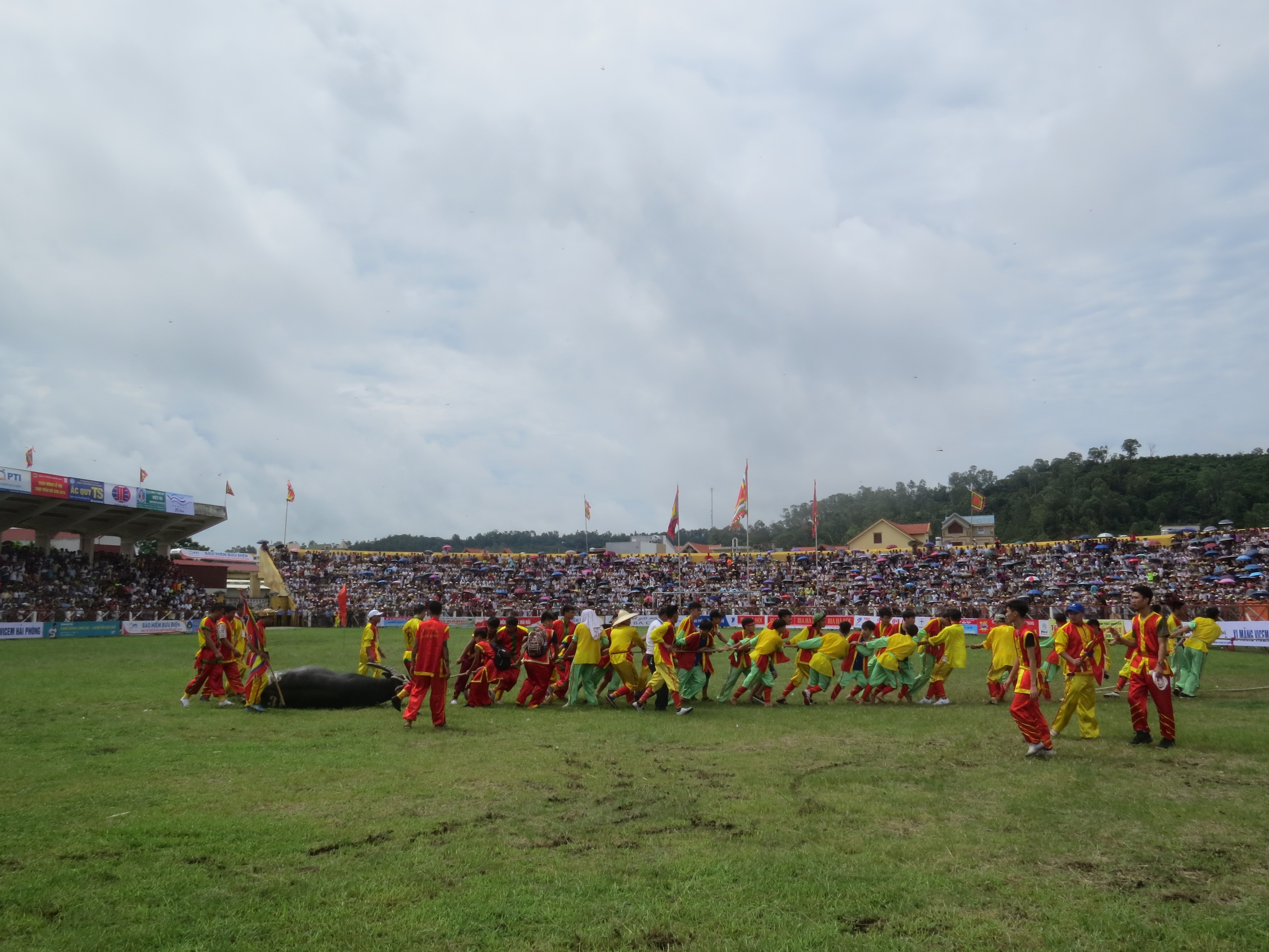 Thể thao - Kịch tính những cặp đấu chung kết chọi trâu Đồ Sơn 2016 (Hình 5).