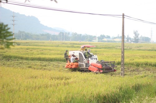 Pháp luật - Phó chủ tịch thị trấn chặn máy gặt lúa 'ngoài danh sách hợp đồng'? (Hình 2).