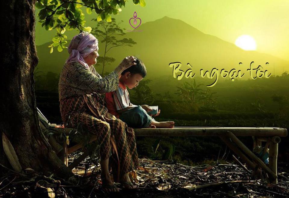 Đời sống - Bài dự thi: Ngoại tôi