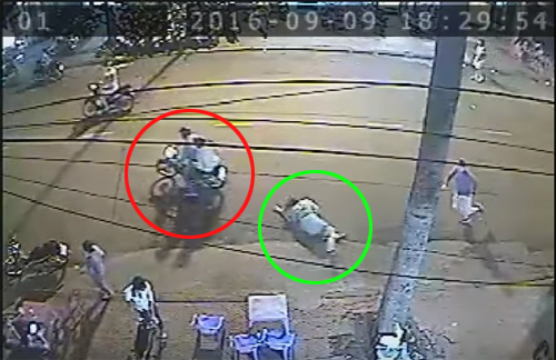 Ph&aacute;p luật - Vợ chồng T&acirc;y bị cướp giật t&uacute;i x&aacute;ch, k&eacute;o ng&atilde; giữa phố S&agrave;i G&ograve;n (H&igrave;nh 2).