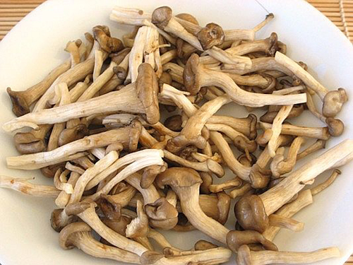 Đời sống - 6 sai lầm khi chế biến nấm g&acirc;y bệnh m&agrave; b&agrave; nội trợ kh&ocirc;ng hay biết