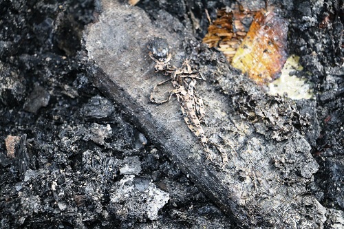 Ph&aacute;p luật - Chợ ch&aacute;y tan hoang, tiểu thương đ&agrave;o bới trong đống đổ n&aacute;t t&igrave;m v&agrave;ng (H&igrave;nh 3).