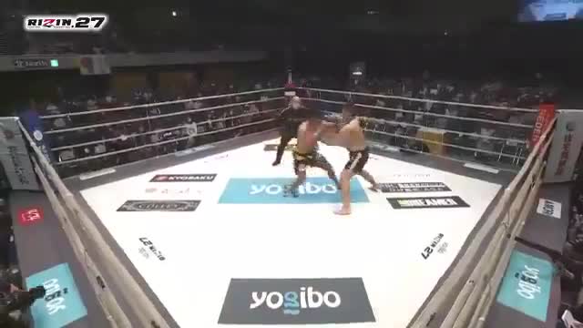 Giải trí - Clip: Ra đòn nhanh như chớp, võ sĩ sumo hạ gục đối thủ MMA sau 6 giây