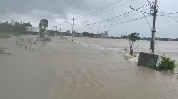 Dân sinh - Video: Mưa lũ gây ngập úng ở nhiều nơi tại Bình Định (Hình 15).