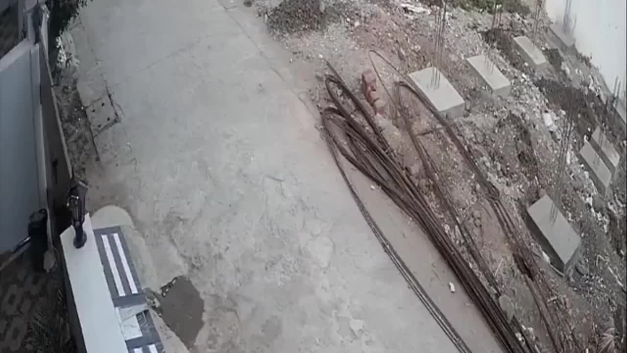 Video - Clip: Người đàn ông cứu sống bé gái bị đàn chó hoang tấn công