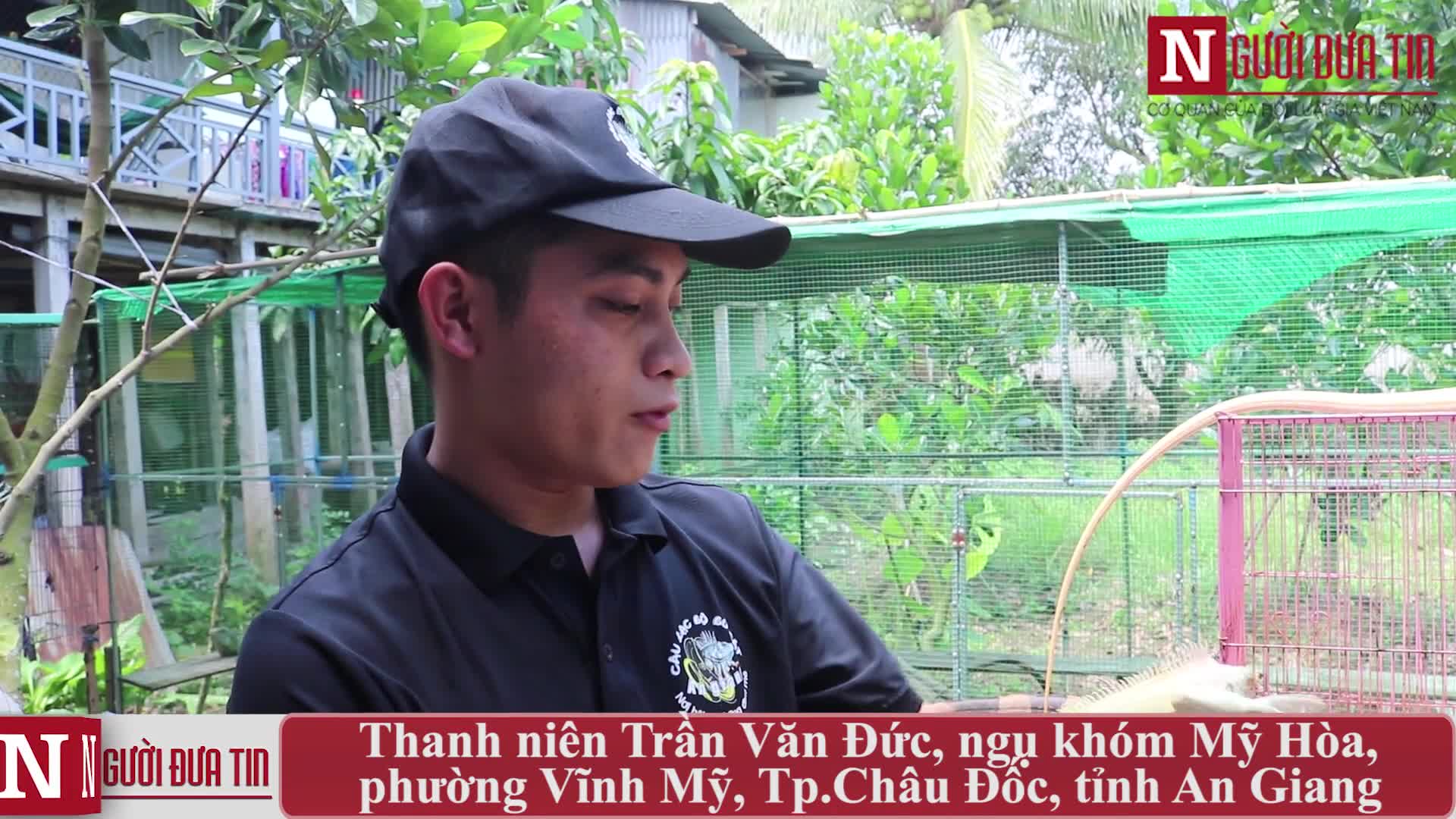 Dân sinh - An Giang: Nuôi Rồng Nam Mỹ thu lợi hàng trăm triệu mỗi năm