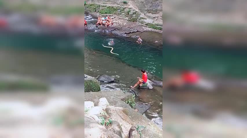 Video - Clip: Bị trăn khổng lồ đuổi theo, cậu bé hoảng sợ bỏ chạy