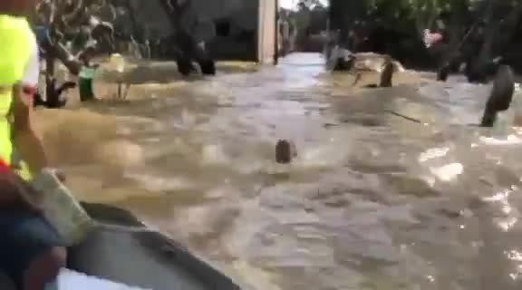 Xót xa hình ảnh bé trai nhỏ tuổi chới với bơi giữ dòng nước lũ để lấy đồ cứu trợ