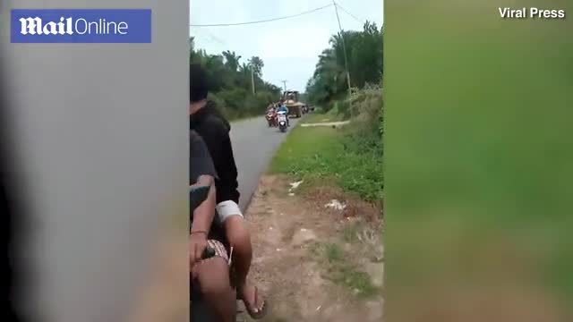 Cá sấu khổng lồ nặng nửa tấn bị dân làng truy sát