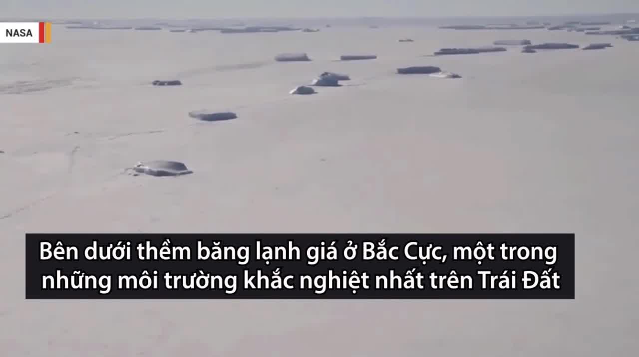 Clip cực hiếm về những sinh vật bí ẩn dưới lớp băng Bắc cực