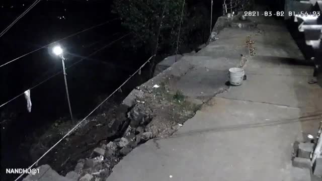 Clip: Báo đen lẻn vào nhà dân, ngoạm chó cưng rồi tha vào rừng