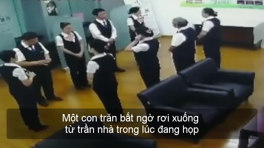 Trăn khủng bất ngờ rơi xuống giữa phòng họp