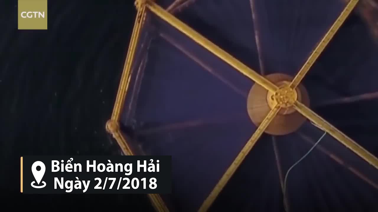Cận cảnh lồng nuôi cá hồi biển sâu lớn nhất thế giới