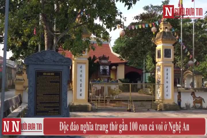 Video: Độc đ&aacute;o nghĩa trang thờ 85 con c&aacute; voi ở Nghệ An