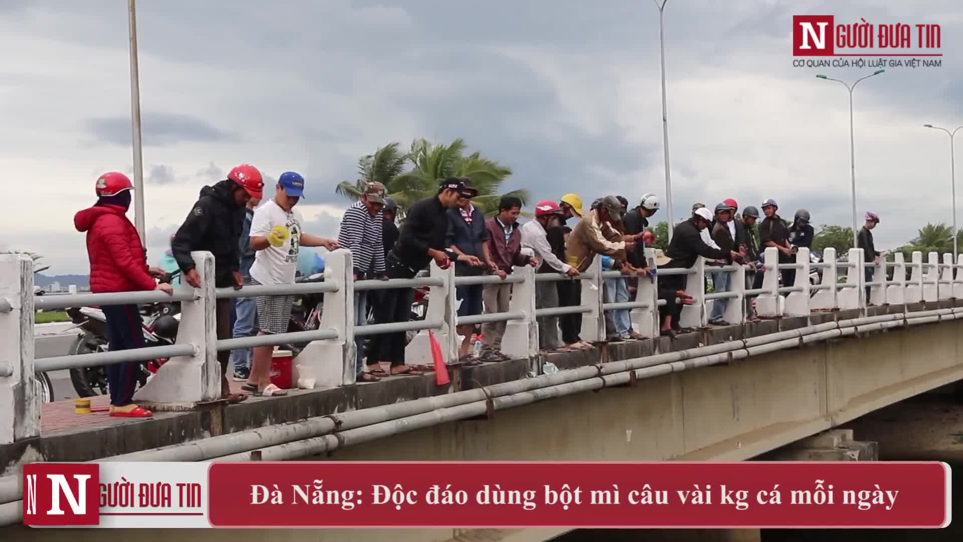 Độc đáo dùng bột mì câu vài kg cá mỗi ngày