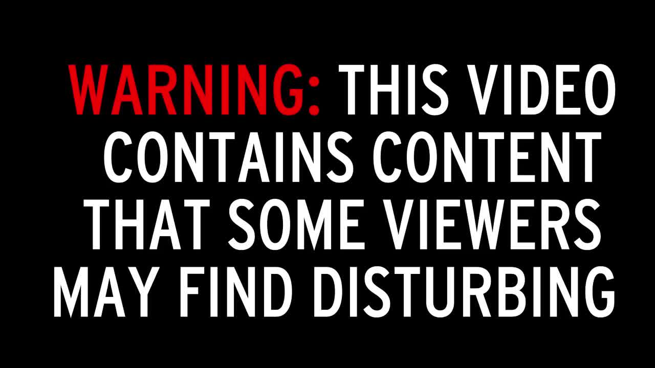 Gấu n&acirc;u đột nhập nghĩa trang, đ&agrave;o bới v&agrave; t&agrave;n ph&aacute; 20 ng&ocirc;i mộ