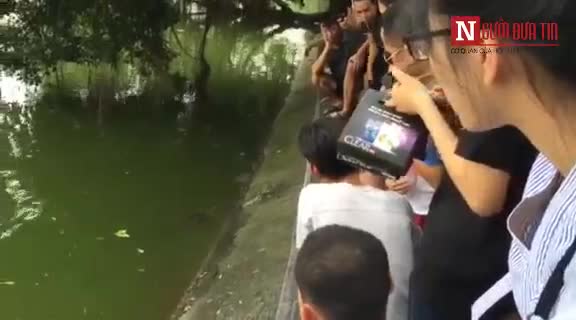 Cần thủ đã đưa được con cá chê khủng hàng chục cận lên bờ
