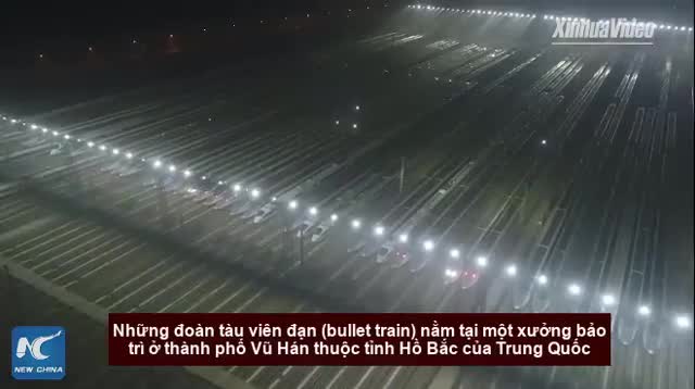 Cận cảnh đội tàu cao tốc siêu khủng phục vụ “cuộc di dân lớn nhất hành tinh”