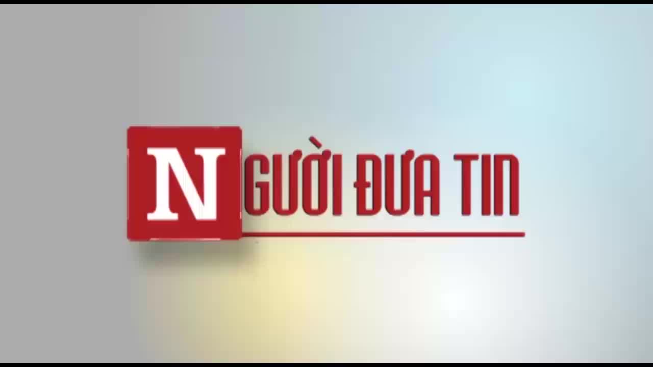 Cận cảnh rừng huyện Mang Yang bị đốn hạ