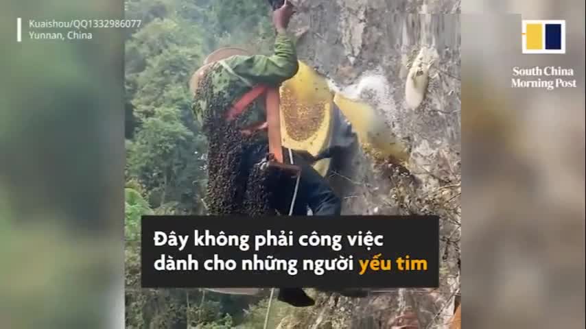 Treo mình trên vách núi cao trăm mét để lấy mật ong