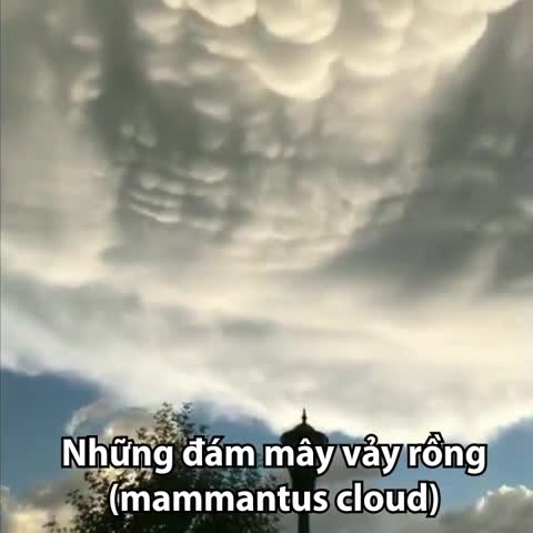 Video: Mây vảy rồng hiếm gặp xuất hiện trên bầu trời ở Mỹ