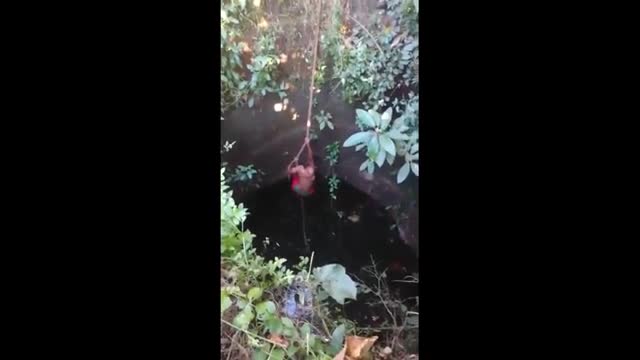 Video:  Kịch tính cảnh tay không mạo hiểm trèo xuống giếng sâu 15 m để giải cứu con trăn