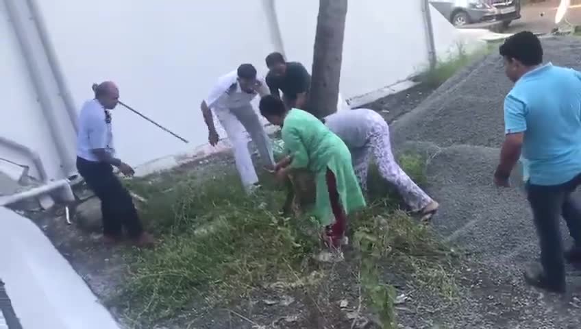 Clip: Người phụ nữ 60 tuổi tay kh&ocirc;ng t&oacute;m gọn trăn khủng
