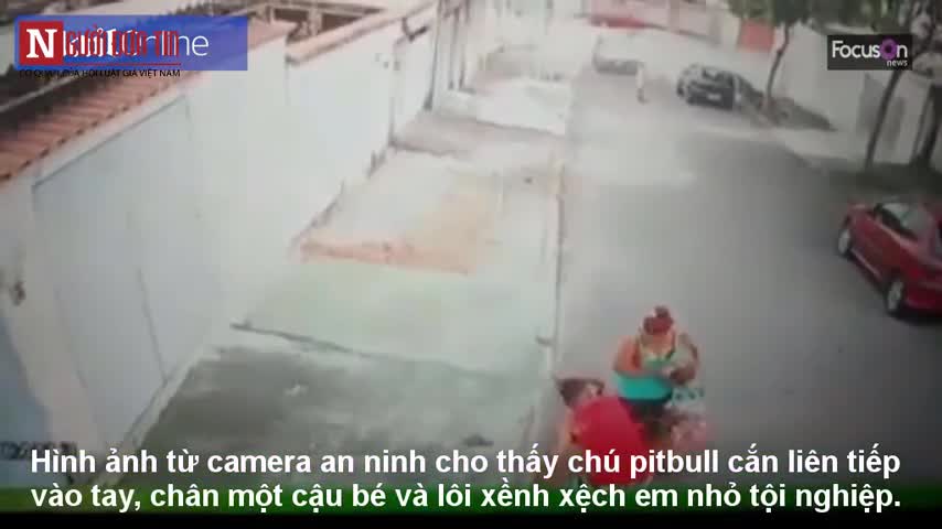 Nam thanh niên liều mình cướp bé trai 4 tuổi khỏi mõm pitbull