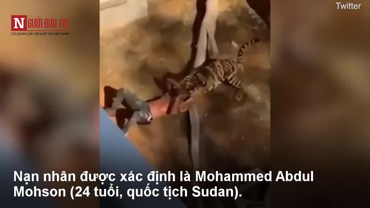 Ch&oacute;ng mặt ng&atilde; v&agrave;o chuồng hổ vẫn sống s&oacute;t thần kỳ