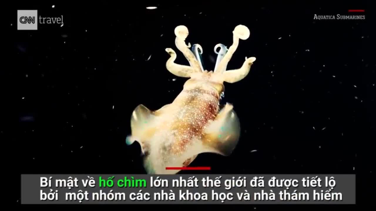 Khám phá hố xanh khổng lồ giữa lòng đại dương