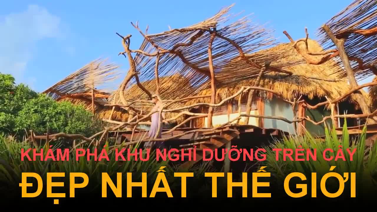 Khám phá khu nghỉ dưỡng trên cây đẹp nhất thế giới