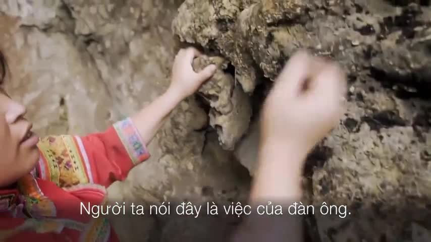 Cuộc sống mưu sinh rùng rợn của người nhện Trung Quốc