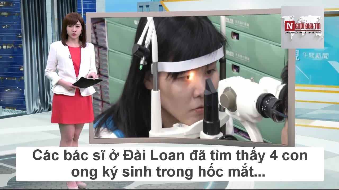 Rùng mình 4 con ong sống ký sinh trong mắt người